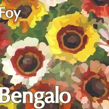 Bengalo.Foy.jpg