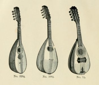 mandolinen-01-350x300 baroque
