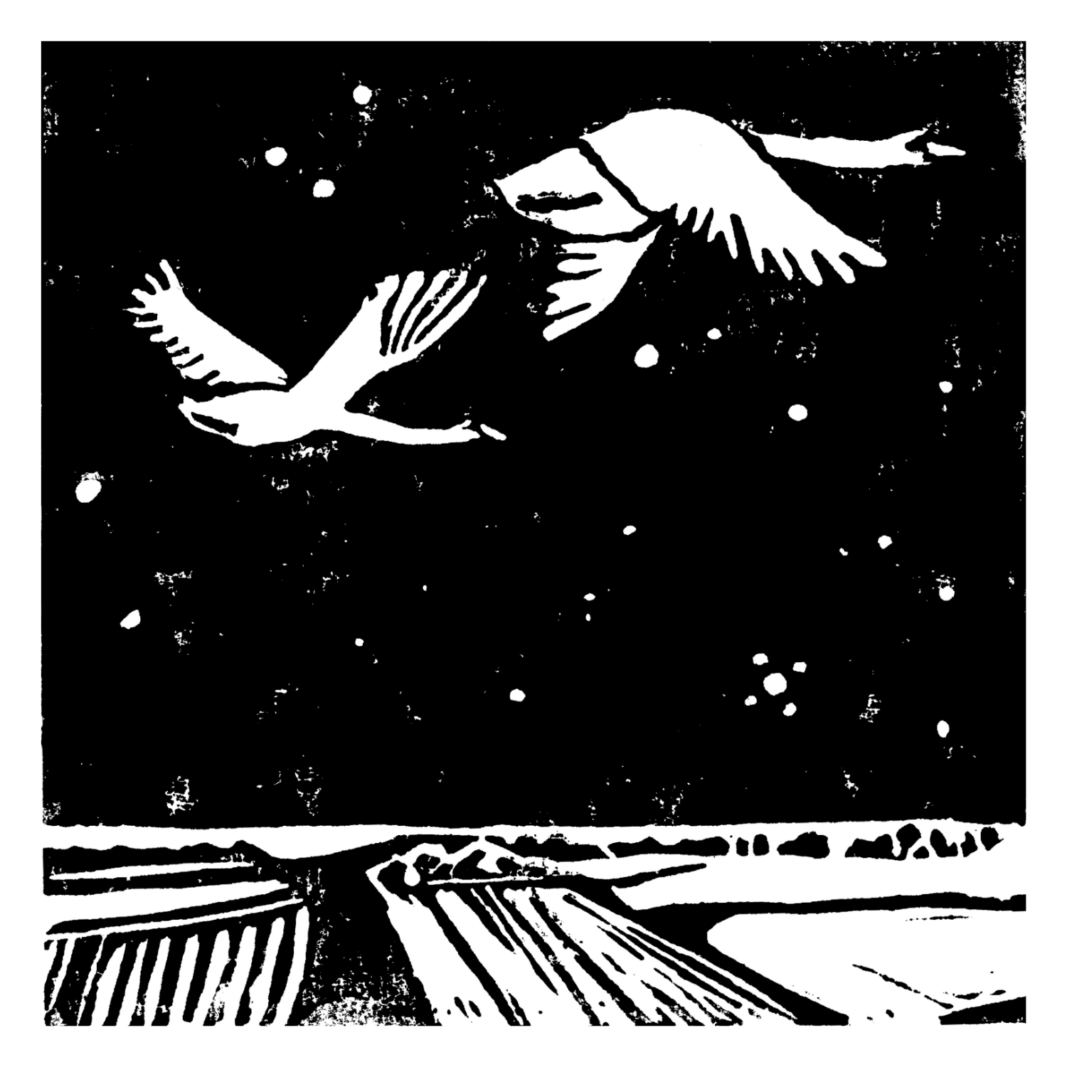 janna-0f92c4b2-c4f2f5e4142298655db54cba14d7fe09