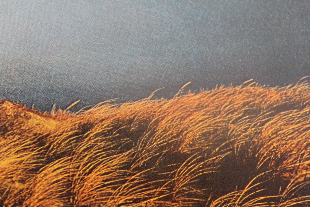 Sensenta | Concertzender | Klassiek, Jazz, World en meer