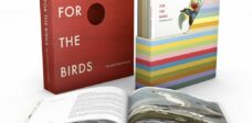 Birdsong Project package