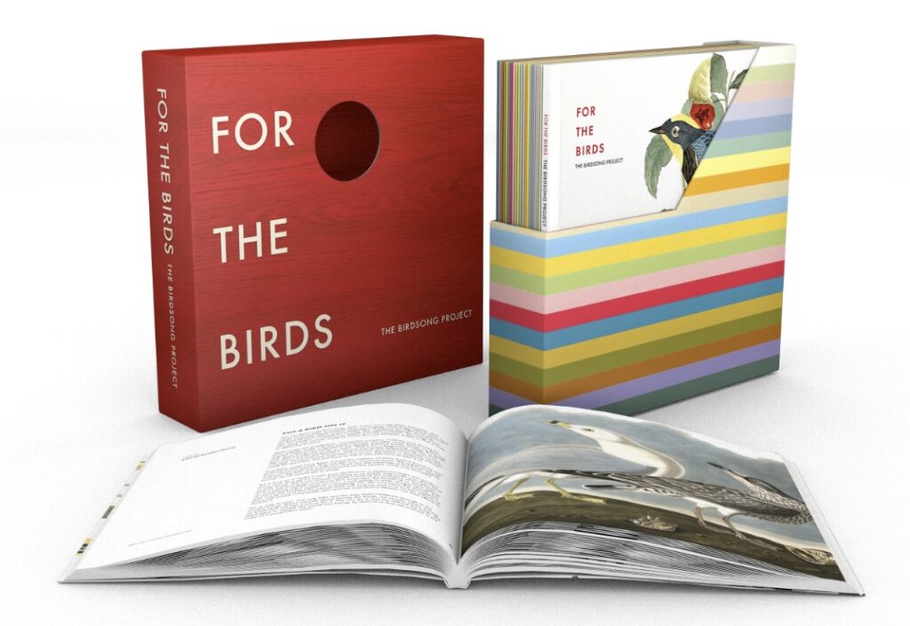 Birdsong Project package