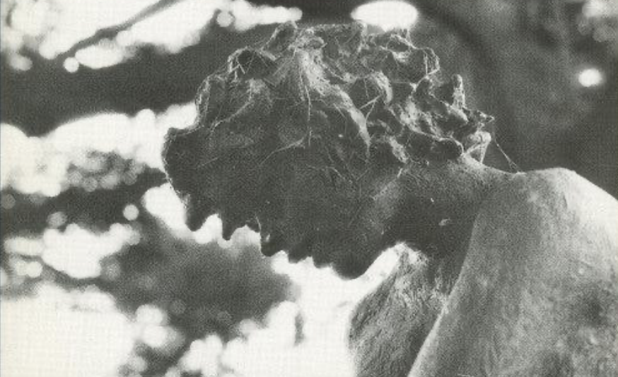 Schermafbeelding 2025-07-31 om 17.43.17