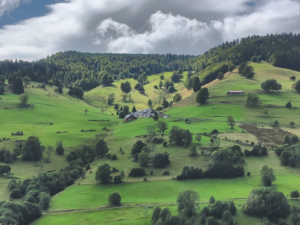 20251002_2300_Kairos_foto