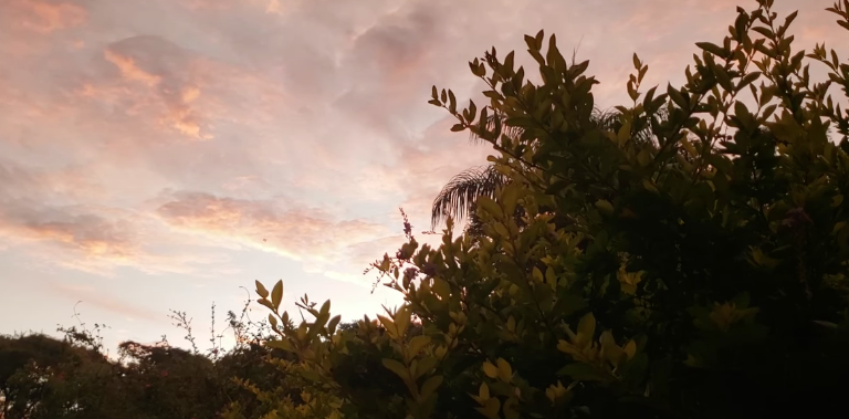 Scherm­afbeelding 2026-04-08 om 13.30.41