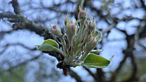 20260507 2300 Kairos 183 foto